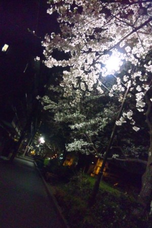 f:id:kg-t:20110409011028j:image