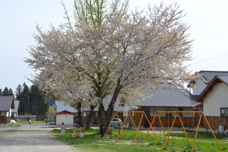 f:id:kg-t:20110430144119j:image