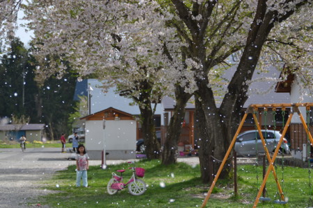 f:id:kg-t:20110430144130j:image