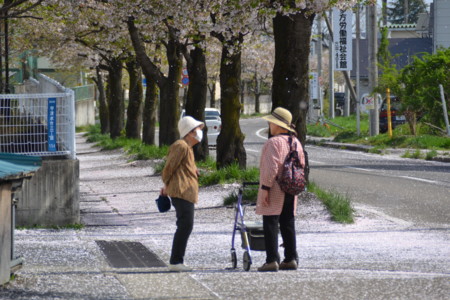 f:id:kg-t:20110430145010j:image