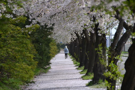 f:id:kg-t:20110430150750j:image