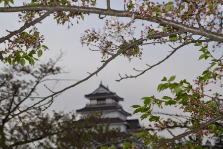 f:id:kg-t:20110430173218j:image