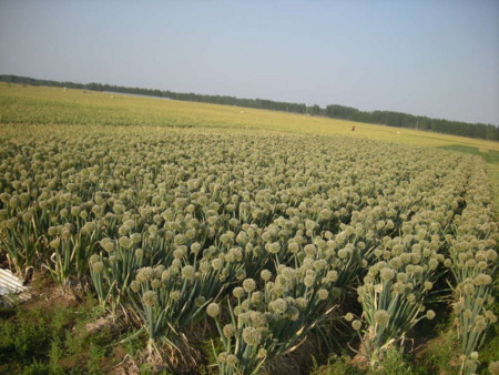 f:id:kg-t:20110527181025j:image