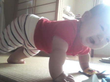 f:id:kg-t:20110822070012j:image
