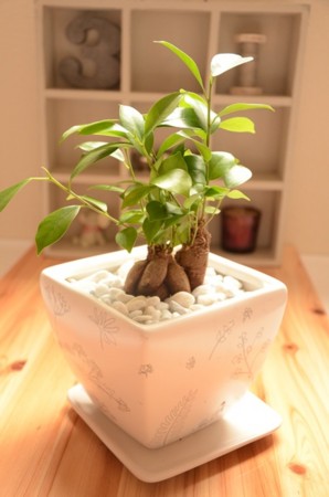 f:id:kg-t:20110904124833j:image