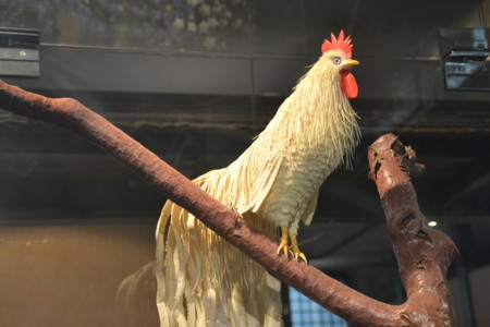 f:id:kg-t:20111203105443j:image
