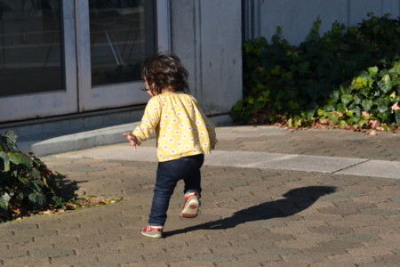 f:id:kg-t:20111203132021j:image