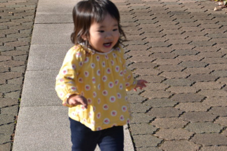 f:id:kg-t:20111203132200j:image