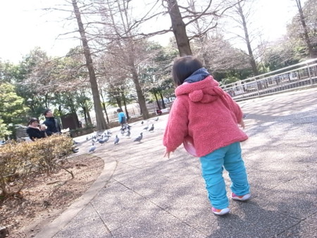 f:id:kg-t:20120320123822j:image