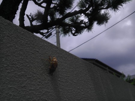 f:id:kg-t:20120811131347j:image