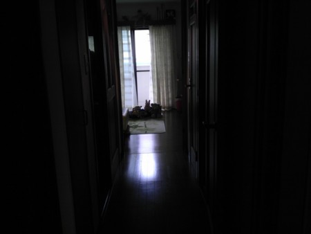 f:id:kg-t:20121003110158j:image