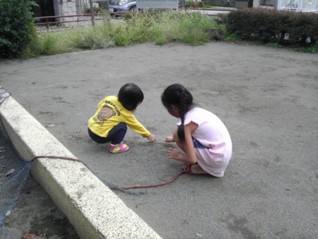 f:id:kg-t:20121008125044j:image