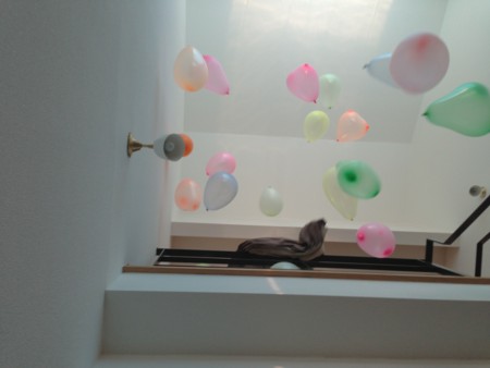 f:id:kg-t:20130429163429j:image