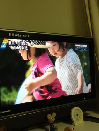 f:id:kg-t:20130531200929j:image