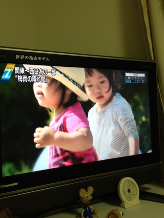 f:id:kg-t:20130531200932j:image