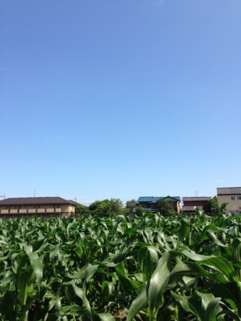 f:id:kg-t:20130602142934j:image f:id:kg-t:20130602142934j:image