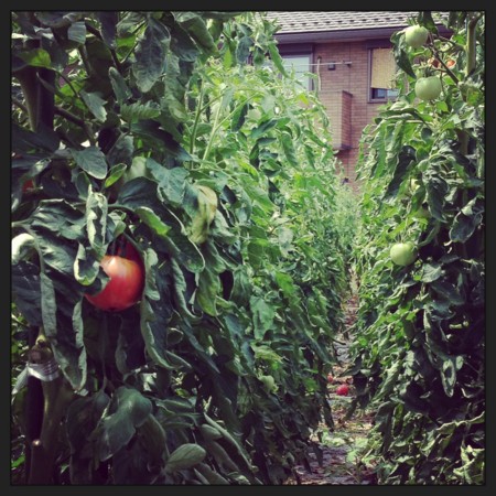 f:id:kg-t:20130720132102j:image