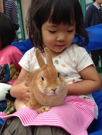 f:id:kg-t:20131006004702j:image