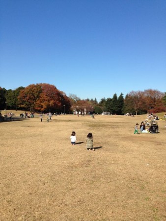 f:id:kg-t:20131201122819j:image