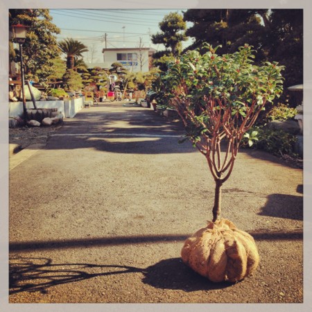 f:id:kg-t:20140120112636j:image