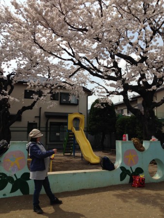 f:id:kg-t:20140402125518j:image