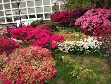 f:id:kg-t:20140429131114j:image