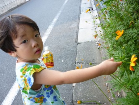 f:id:kg-t:20140728173056j:image