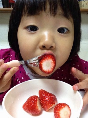 f:id:kg-t:20141218094326j:image