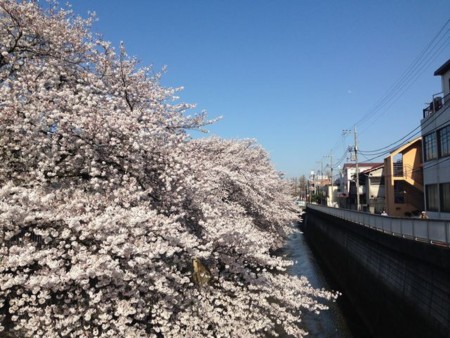 f:id:kg-t:20150331153322j:image