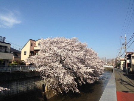 f:id:kg-t:20150331153623j:image