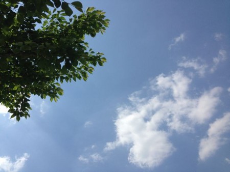 f:id:kg-t:20150426115751j:image