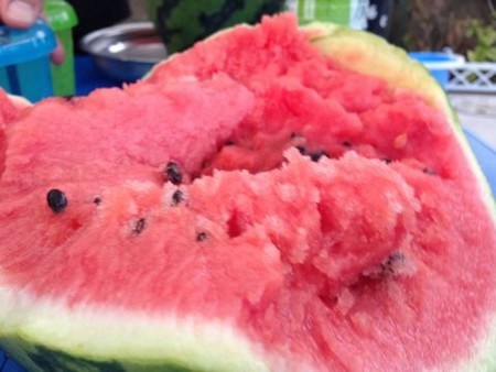 f:id:kg-t:20160814181929j:image
