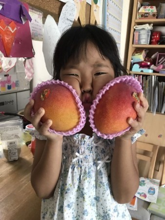 f:id:kg-t:20170710232443j:image