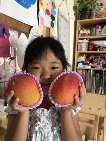 f:id:kg-t:20170710232447j:image