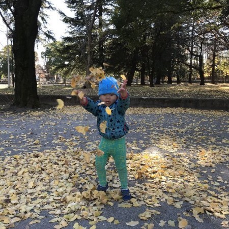 f:id:kg-t:20171217131047j:image