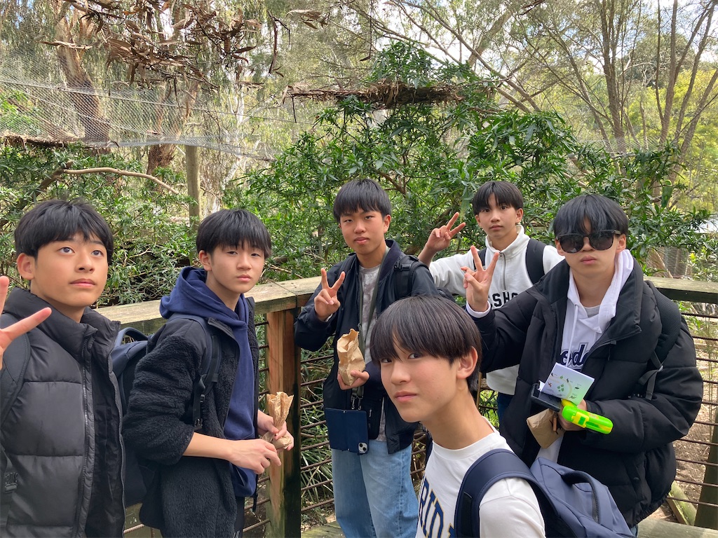 f:id:kgi-aoki:20250807185948j:image