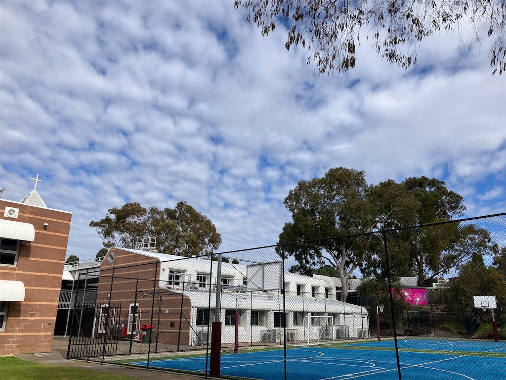 f:id:kgi-aoki:20250811164150j:image f:id:kgi-aoki:20250811164150j:image