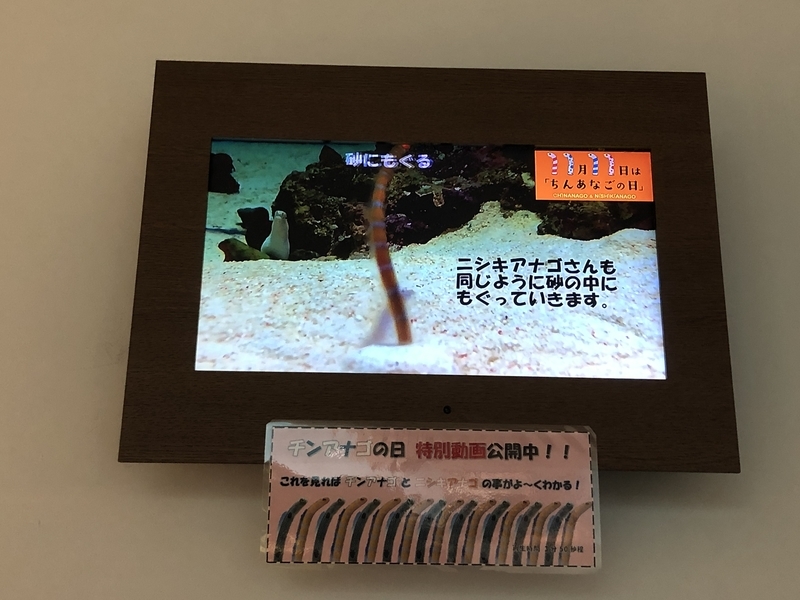 f:id:kgi-ariyama:20201111164317j:plain f:id:kgi-ariyama:20201111164317j:plain