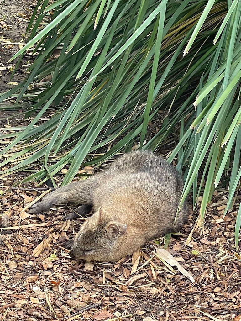 f:id:kgi-ishizaka:20240316210235j:image f:id:kgi-ishizaka:20240316210235j:image