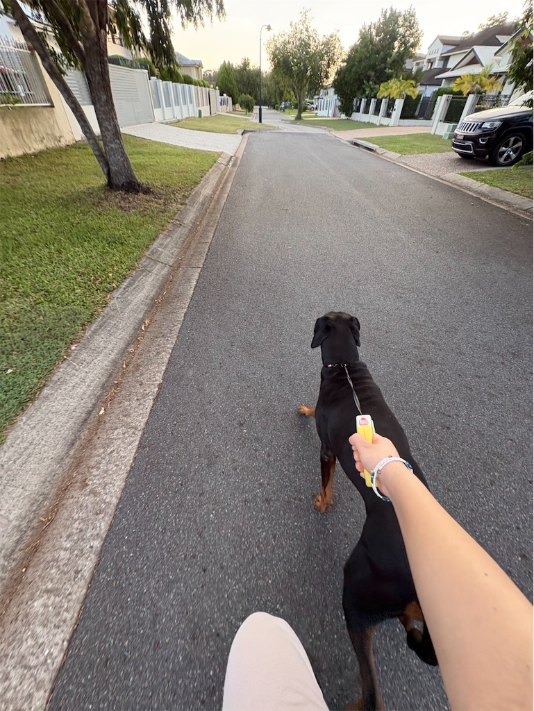 f:id:kgi-ishizaka:20260202082601j:image f:id:kgi-ishizaka:20260202082601j:image