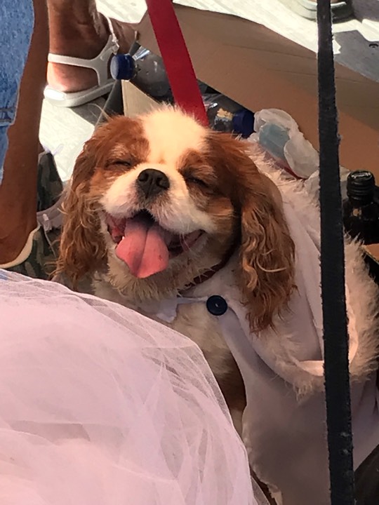 f:id:kgi-okutsu:20180317184613j:plain