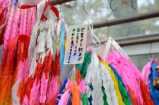 f:id:kgi-okutsu:20181114050935j:plain