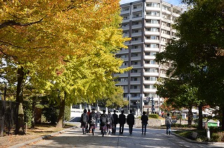 f:id:kgi-okutsu:20181114052020j:plain