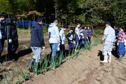 f:id:kgi-okutsu:20191113205309j:plain