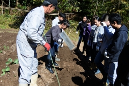 f:id:kgi-okutsu:20191113205317j:plain