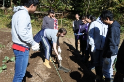 f:id:kgi-okutsu:20191113205320j:plain