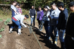 f:id:kgi-okutsu:20191113205323j:plain