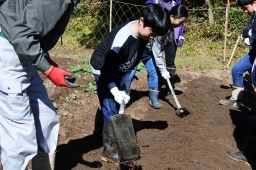 f:id:kgi-okutsu:20191113205345j:plain