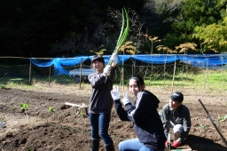 f:id:kgi-okutsu:20191113205348j:plain