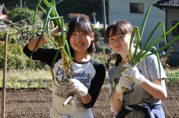 f:id:kgi-okutsu:20191113205358j:plain